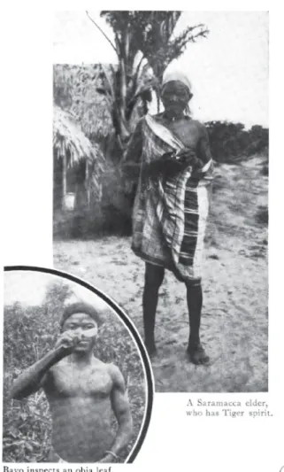 Figure 4. Left: “Bayo inspects an obia leaf.” Right: “A Saramacca elder, who has Tiger  spirit.”  