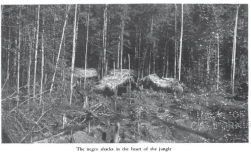 Figure 6. “The negro shacks in the heart of the jungle.” 