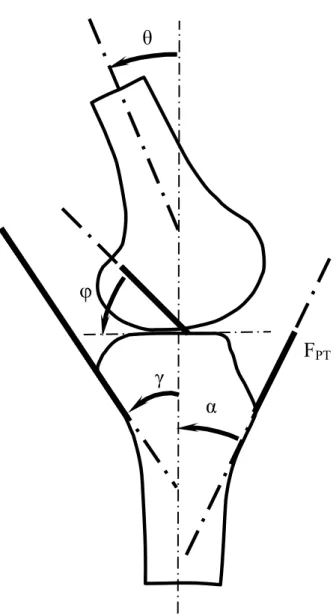 FIGURE 3.2  The knee geometry to show the definition of the knee flexion angle (θ), patellar  tendon-tibial shaft angle (α), hamstring tendon-tibial shaft angle (γ), and ACL  elevation angle (φ)