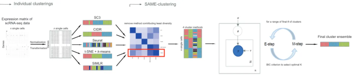 Figure 11: Overview of SAME-clustering.Normalized scRNA-seq data are log-transformed and used as input for SC3, CIDR, Seurat, t-SNE+kmeans, and SIMLR