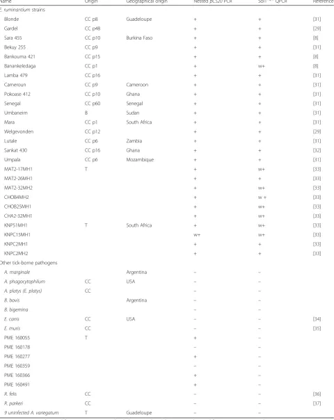 Table 1 pCS20 Sol1TqM qPCR sensitivity and specificity test on Ehrlichia ruminantium strains and other tick-borne pathogens