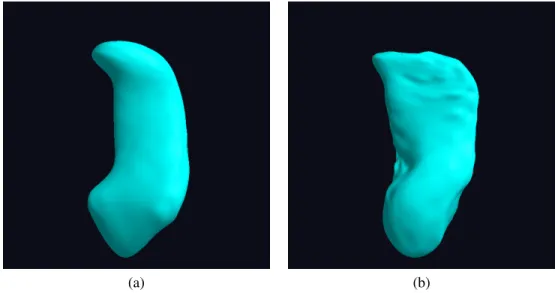 Figure 4.1: (a) The solid model of the template hippocampus s-rep; (b) The solid model of a warped template hippocampus s-rep.