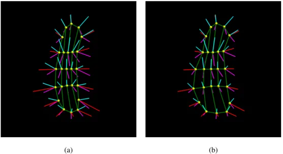 Figure 4.6: (a) Fitted s-rep of the hippocampus before the refinement on crest spokes; (b) fitted s-rep of the hippocampus after the refinement on crest spokes.