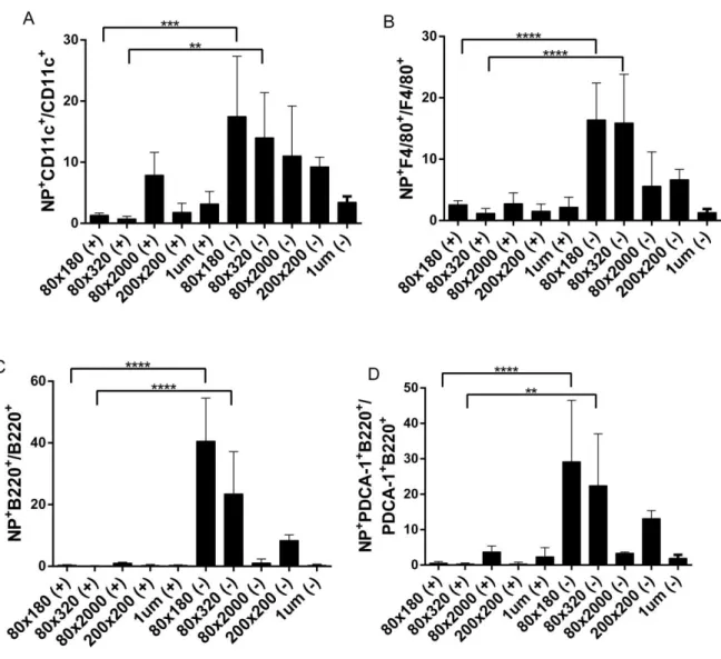 Figure 2.3 Flow cytometry of cells from lymph nodes resected 48 hours after injection