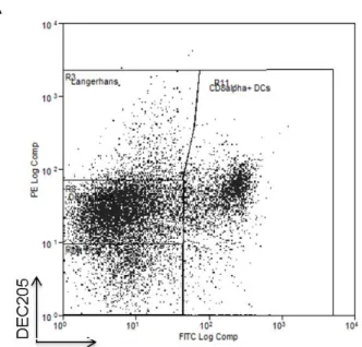 Figure 2.10 A) Analysis of LN DC subsets by flow cytometry. Single cell suspension of LNs was stained with anti- anti-mouse CD11c, CD8α and DEC205