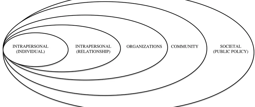 Figure 2.1 The Socioecological Framework 