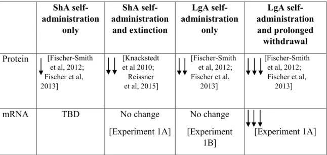 Table 1: Summary of Changes in NAc GLT-1 Protein and mRNA by Cocaine Experience in Male  Rats