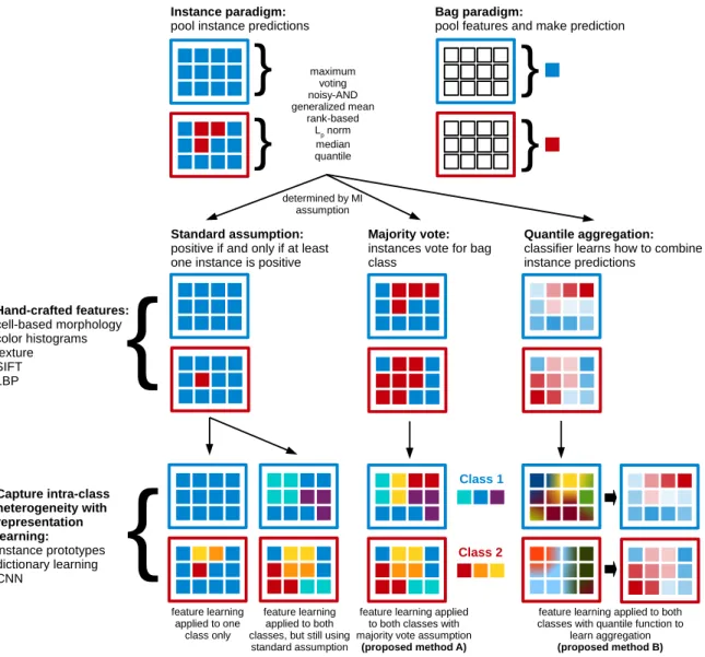 Figure 3.2: Instance paradigm methods first classify individual instances and then pool the predictions, while bag paradigm methods pool the instance features and make a single  pre-diction