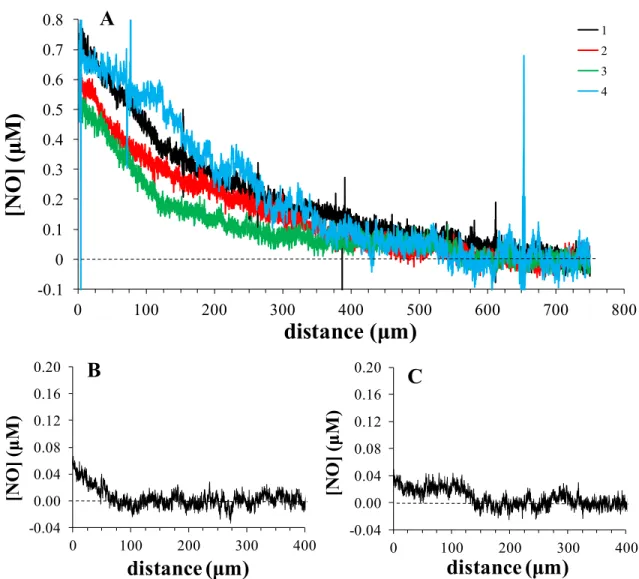 Figure 3.6  (A) The NO diffusion profiles of a confluent sheet of macrophages 8 h after  stimulation with 20 ng mL -1  LPS and 10 ng mL -1  IFN-γ as measured by a Pt/poly(5A1N)/XG  microelectrode  approaching  at  a  rate  of  1  µm  s −1   using  a  SECM 