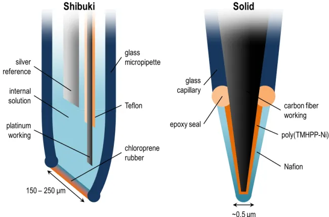 Figure 1.1  Representative  Shibuki-  and  solid-type  electrochemical  NO  sensor  designs