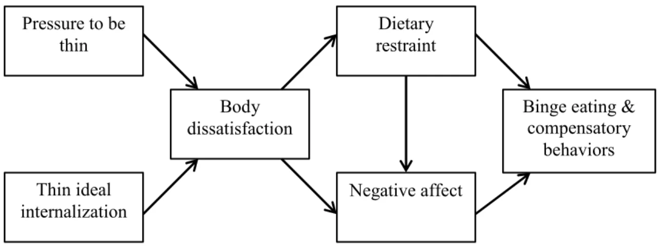 Figure 1. Stice’s dual-pathway model (Stice, 1994, 2001)  Body dissatisfaction Pressure to be thin Thin ideal internalization  Dietary  restraint  Negative affect 