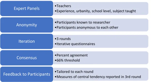 Figure 5. Major elements of Delphi and related decision points for this study 