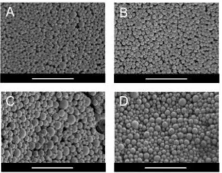 Figure 2.2 Scanning electron micrographs of acetalated dextran microparticles. 