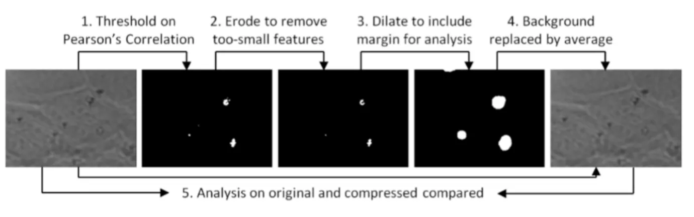 Figure 3.1: Analysis-preserving video compression process.
