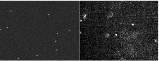 Figure 3.11: Sample video frames, left: synthetic video, right: real video