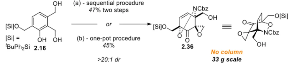 Figure  2-1.    Functional  Group  Manipulations  Needed  to  Access  Tetrodamine  from  the  [2.2.2]-Bicycle  Scaffold 