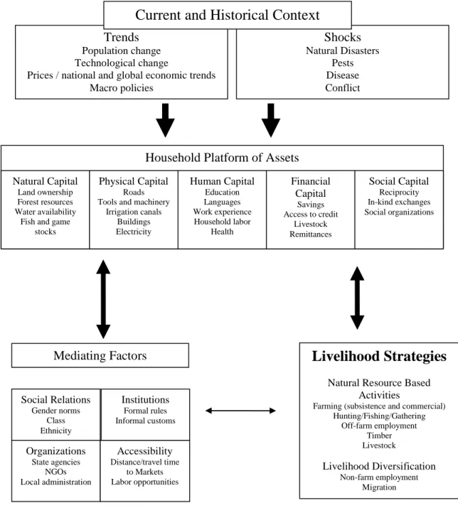 Figure 1. A conceptual framework of livelihood diversification. Adapted from Ellis (2000) 