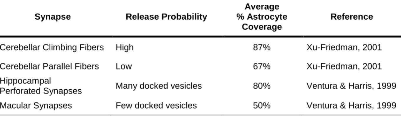 Table 1. The relationship between release probability and astrocyte synapse  coverage