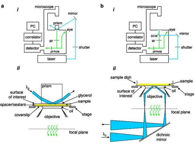 Figure 1.2 TIRF Apparatus.   (a) Through-Prism TIRF.  (i) A laser beam is totally internally  reflected into a sample through a prism that is mounted onto the stage of an inverted microscope