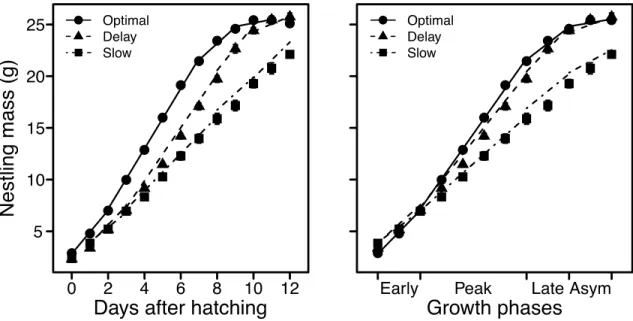 Figure 2.3: Linear growth rates at four different growth phases [Early, Peak, Late, and  asymptotic (Asym)] for optimal (Optimal; circle, solid line), delayed (Delay; triangle,  dashed line) and slow growers (Slow; square, dot-dash line)