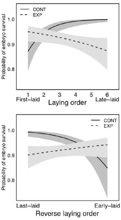 Figure 3.1: Relationship between laying order (top panel) and reverse laying order  (bottom panel) and embryo survival in control (CONT; solid line, dark gray polygon) and  experimental (EXP; dashed line, light gray polygon) nests