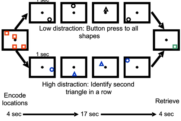 Figure 2.  Schematic of Executive Distraction Task Design  