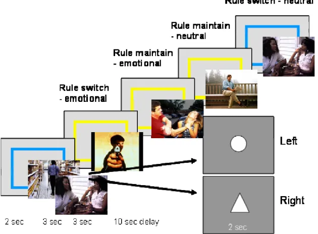 Figure 6.  Schematic of Emotional Rule Task Design 