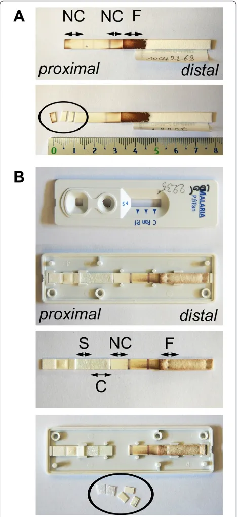 Figure 2 Fragment sampling of OptiMAL (A) and SDFK60 (B)NC = nitrocellulose strip (nitrocellulose membrane inclusive plasticbacking), F = filter paper fragment of absorption pad, S = samplepad, C = conjugate pad.
