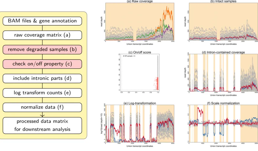 Figure 3.3: The pre-processing steps of Scissor at gene TP53 as an example. (Left) The pipeline for pre-processing data is shown starting with BAM files to get the data object that will be used for detecting outliers