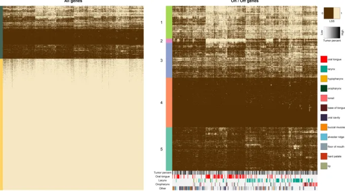 Figure 3.7: Heatmaps of the binary matrices from the level of shape-similarity (LSS). If the LSS is greater than 0.6, the value is 1