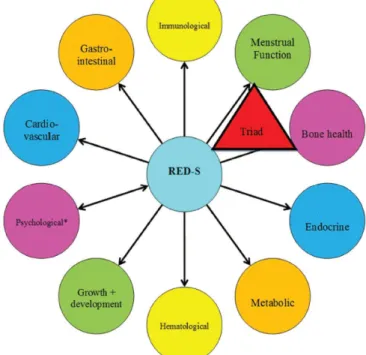 Figure 3. Health consequences of RED-S,  expanded from the Triad 
