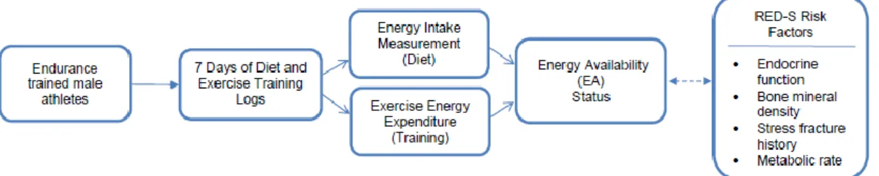Figure 7. Study design diagram 