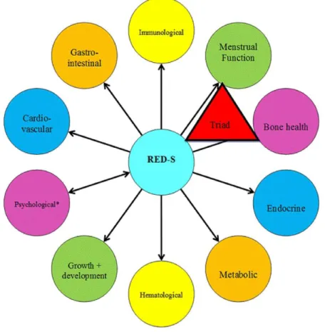 Figure 8. Potential systemic and physiologic systems impacted by low EA  associated with the RED-S terminology 