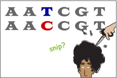 Figure 5.2. "What Are SNPs?” Video 