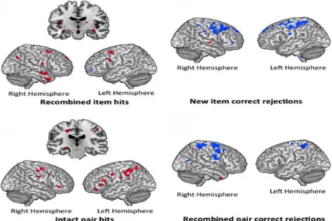 Figure 2.3: Comparison of BOLD response to a relational memory task in  former NFL players with variable concussion history
