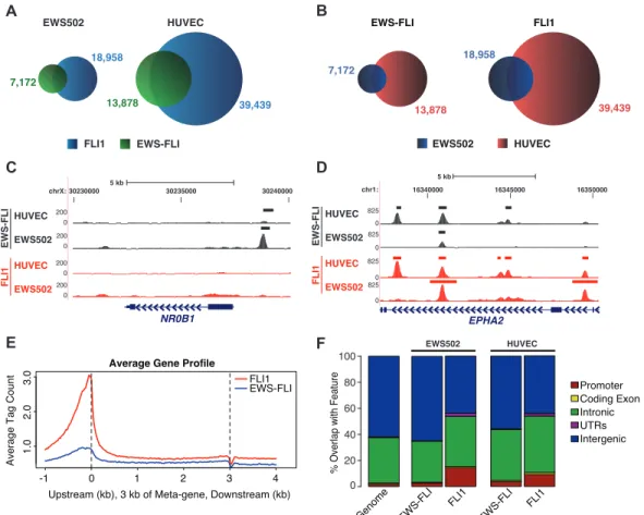 Figure 2.3: Chimerism alters ETS-mediated targeting. A–B. Venn diagrams showing the number of unique and overlapping EWS-FLI and FLI1 binding regions within the same cell type (A) or across cell types (B)