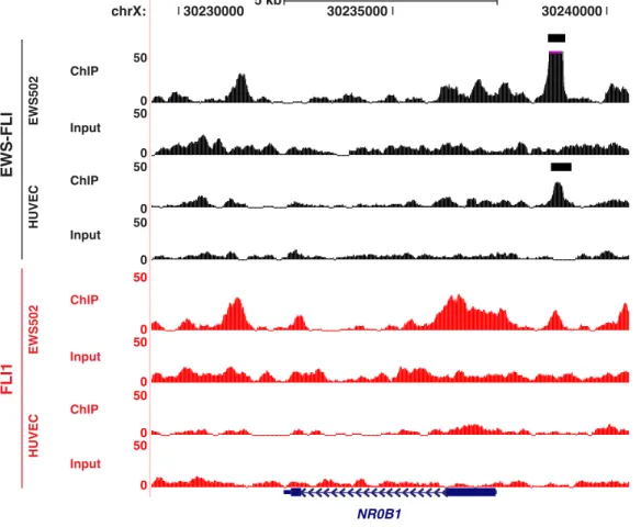 Figure 2.4: The range of factor- and cell-type-specific binding; NR0B1. EWS-FLI (black) and FLI1 (red) ChIP and input control signal in both Ewing Sarcoma cells and HUVECs at NR0B1