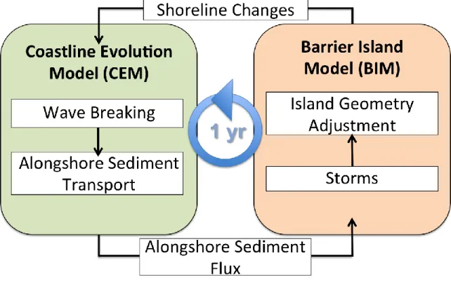 Figure 3. Flow diagram illustrating the factors accounted for by Coastline Evolution  Model (CEM) and the Barrier Island Model (BIM) and the parameters that are passed  between them as they have been coupled to create the Barrier Island and Inlet Modeling 