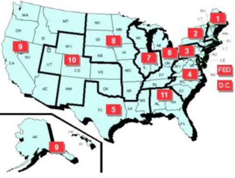 Figure 1: Structure of the U.S. Federal Court System 