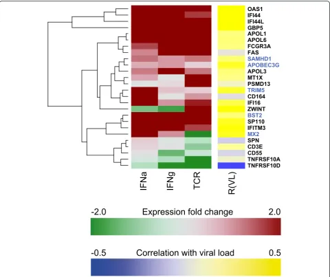Figure 6 Heat map of expression after stimulation of known HIV-1 restriction factors and gene candidates through the screening approach