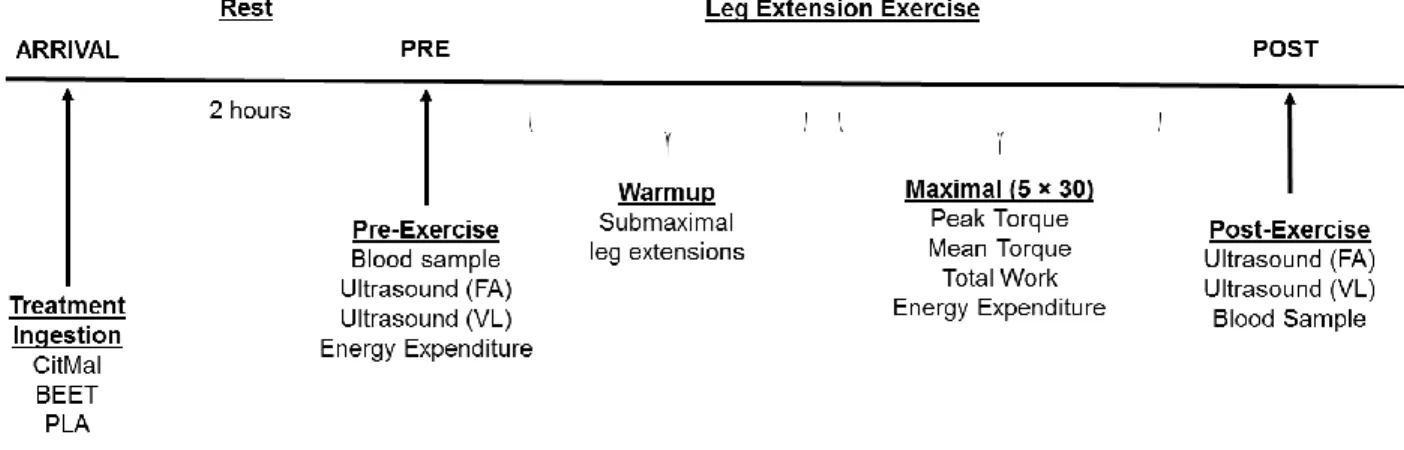Figure 7. Timeline of each testing visit (maximal study). CitMal = Citrulline malate; BEET = Beetroot juice; 