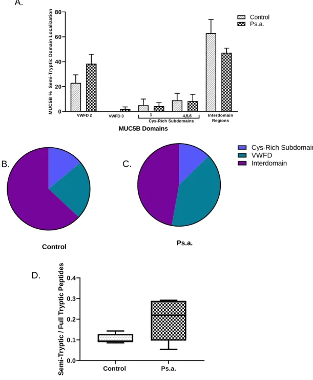 Figure 1.4. Ps.a. CF cell culture model: MUC5B Semitryptic peptide  analysis. MUC5B Semitryptic peptide localization is not significantly different  between control and Ps.a