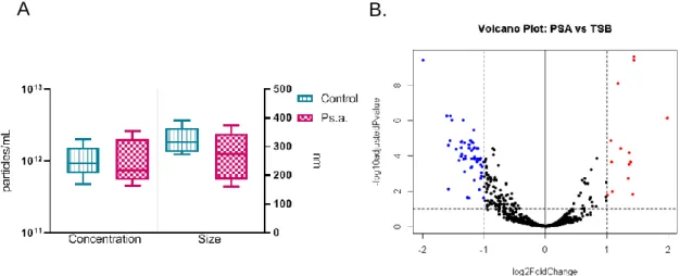 Figure 1.10. Changes in exosome concentration size and miRNA cargo after 120 hour  Ps.a challenge