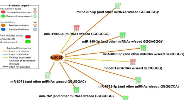 Figure 1.12. MUC5B gene predicted to be activated by differentially expressed miRNA  after Ps.a