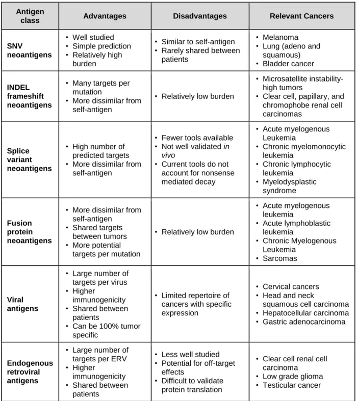 Table  1.1:  Advantages  and  disadvantages  of  targeting  tumor  specific  antigen  classes,  and relevant cancers