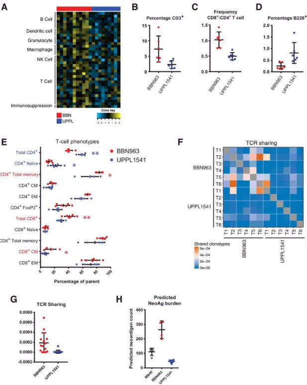 Figure 2.4: Immune characterization of UPPL1541 and BBN963 subtype-specific bladder  models