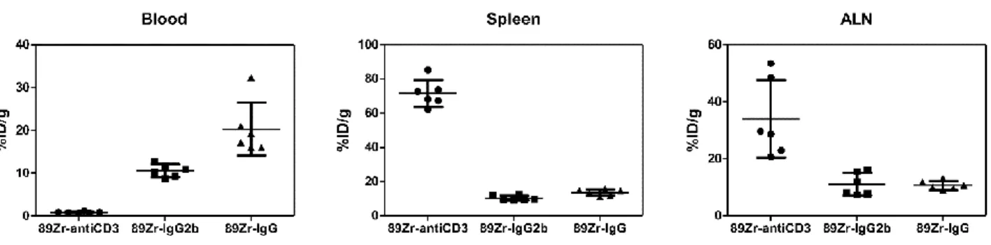 Figure 2.8. Scatter dot plots from the ex-vivo biodistribution study of 89Zr-DFO-anti-CD3,  89Zr-DFO-IgG2b, and 89Zr-DFO-IgG in untreated C57BL/6J mice