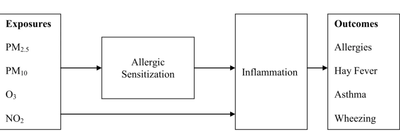 Figure 1. Conceptual model for the relationship between particulate matter (PM), ozone (O 3 ),  nitrogen dioxide (NO 2 ) and allergic outcomes  