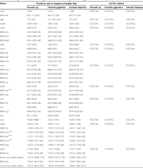 Table 3 The organization of the mt genomes of Fasciola sp., Fasciola gigantica and F. hepatica