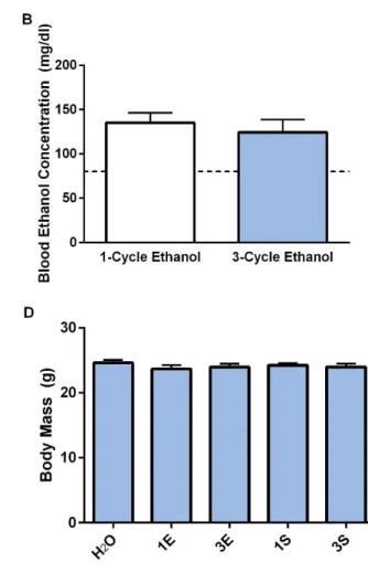 Figure  2.2:    In  the  orexin-A  IHC  experiment,  mice  with  access  to  ethanol  bottles  drank  comparable levels of ethanol on the final day of testing regardless of whether they experienced  one or three cycles of DID (A) and achieved similar BECs 